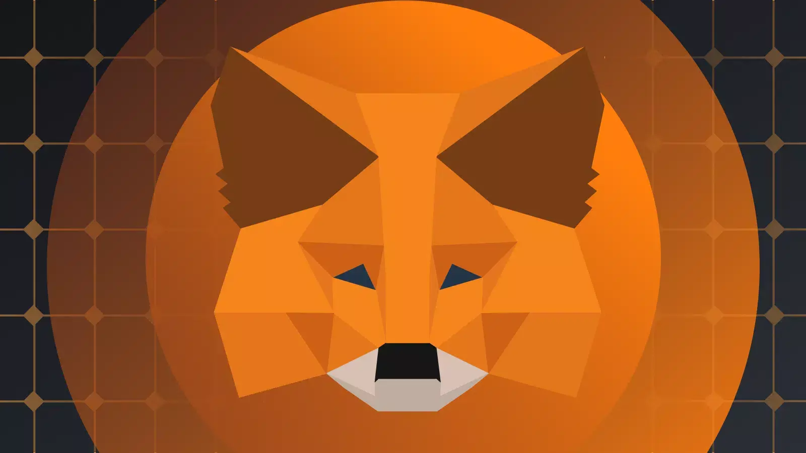 Instruction by crypto wallet MetaMask